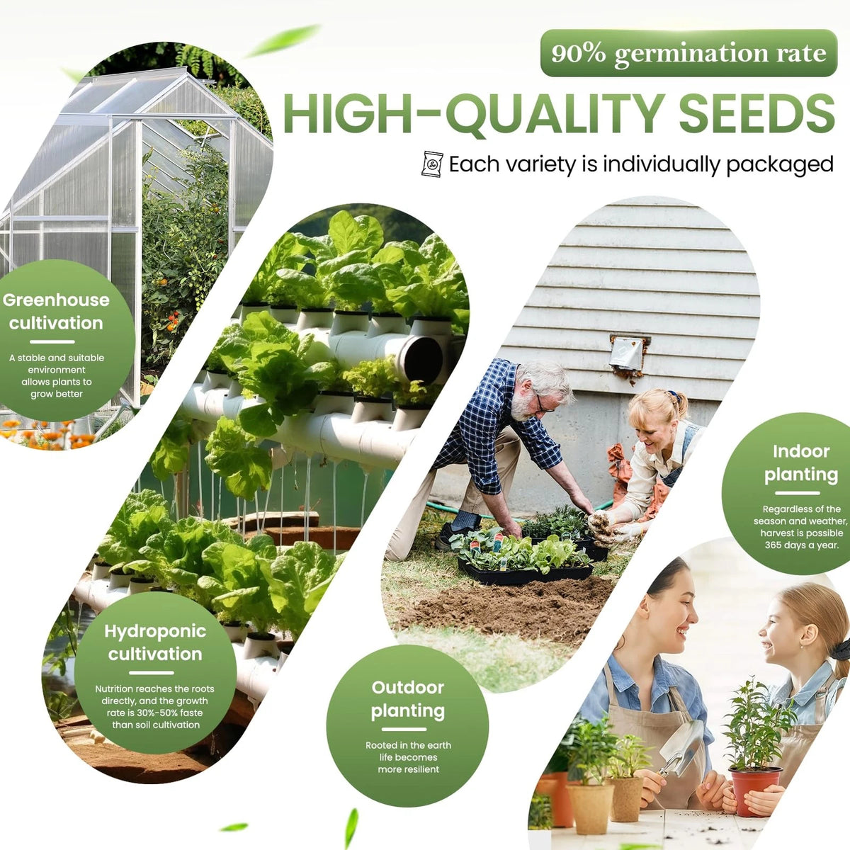 GermiGrow 36 Vegetable Variety Pack - 17,600+ Non-GMO Heirloom Seeds Yellow