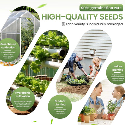 GermiGrow 36 Vegetable Variety Pack - 17,600+ Non-GMO Heirloom Seeds Yellow