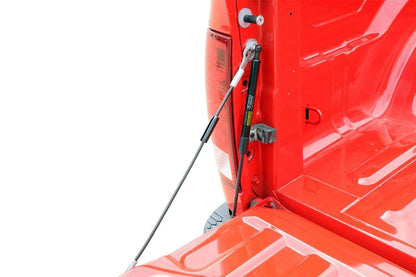 DZ43300 Tailgate Assist Fits 02-08 RAM 1500 and 03-09 2500/3500 RED