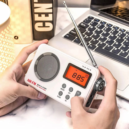 Portable AM/FM PLL Alarm Radio Support Smart Preset Feature SY-8801