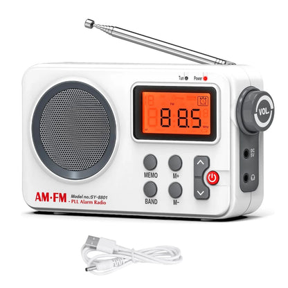 Portable AM/FM PLL Alarm Radio Support Smart Preset Feature SY-8801
