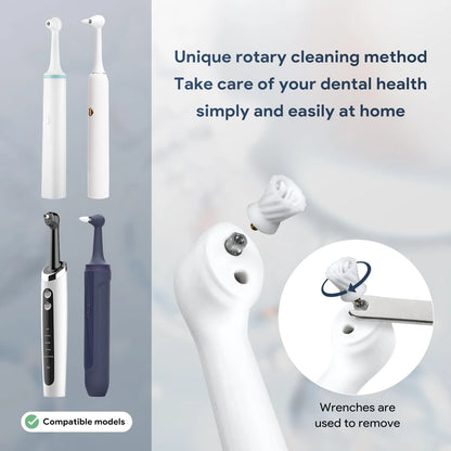 6 Tooth Polisher Replacement Brush Heads,Tooth Cleaning 6 Piece Set, White1