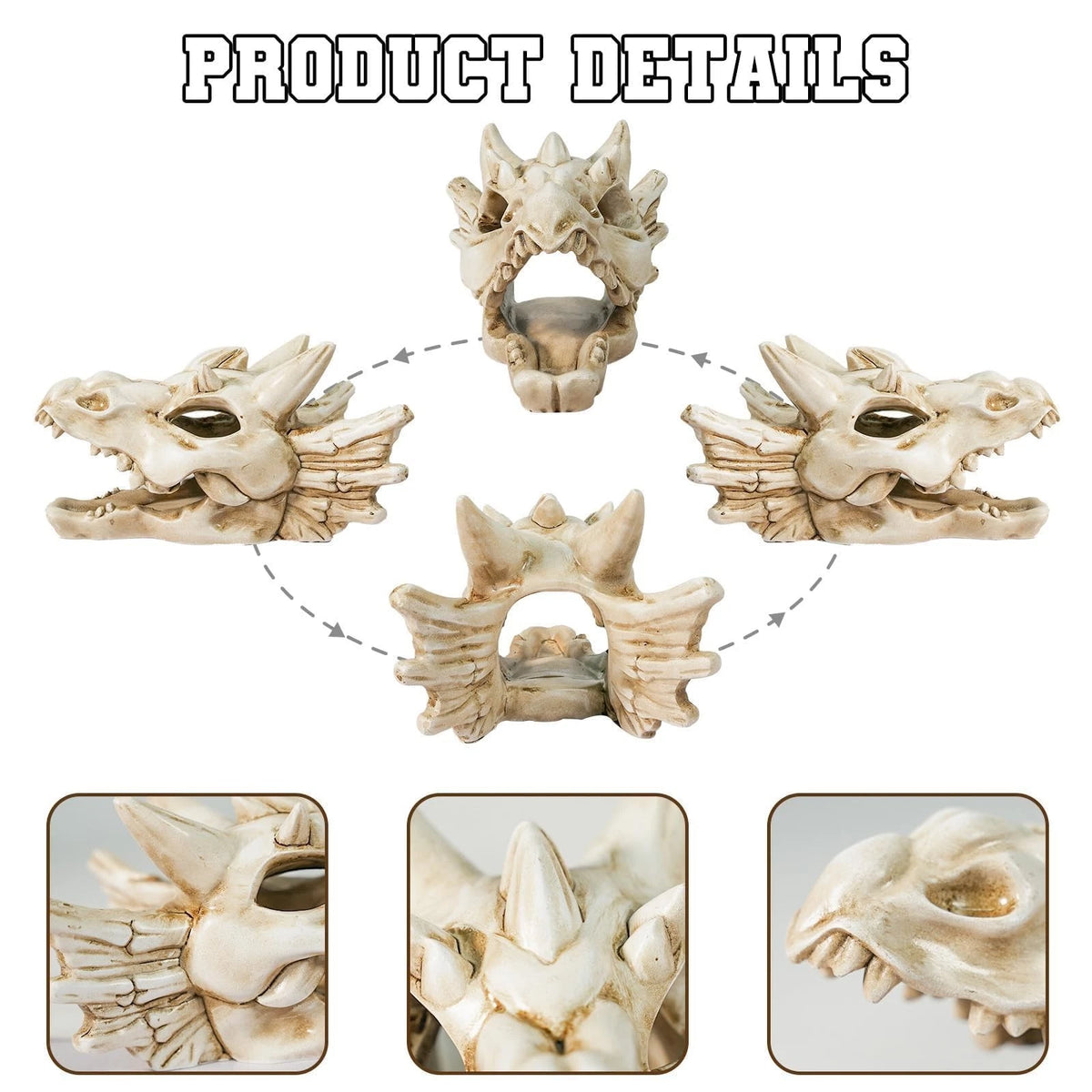 Warmtree Dragon Skull Animal Skulls Mini Dinosaur Aquarium White