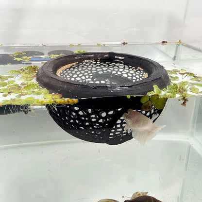 Aquarium Floating Betta Fish Skins, or Shrimp Feeder, Cave and Black