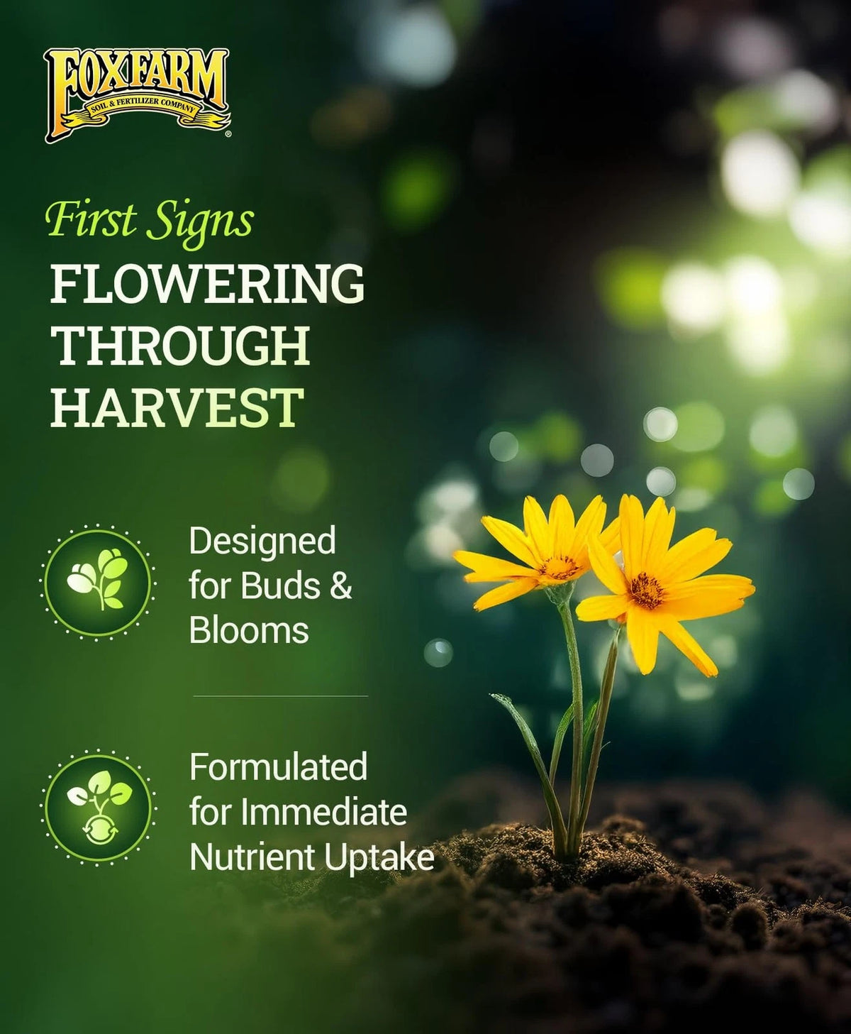 FoxFarm Tiger Bloom Liquid Plant Food - Phosphorus Fertilizer for 1 pint