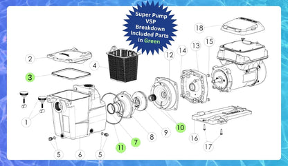 KitKing - SPX1600TRA Super Pump Seal Replacement Standard,  Version