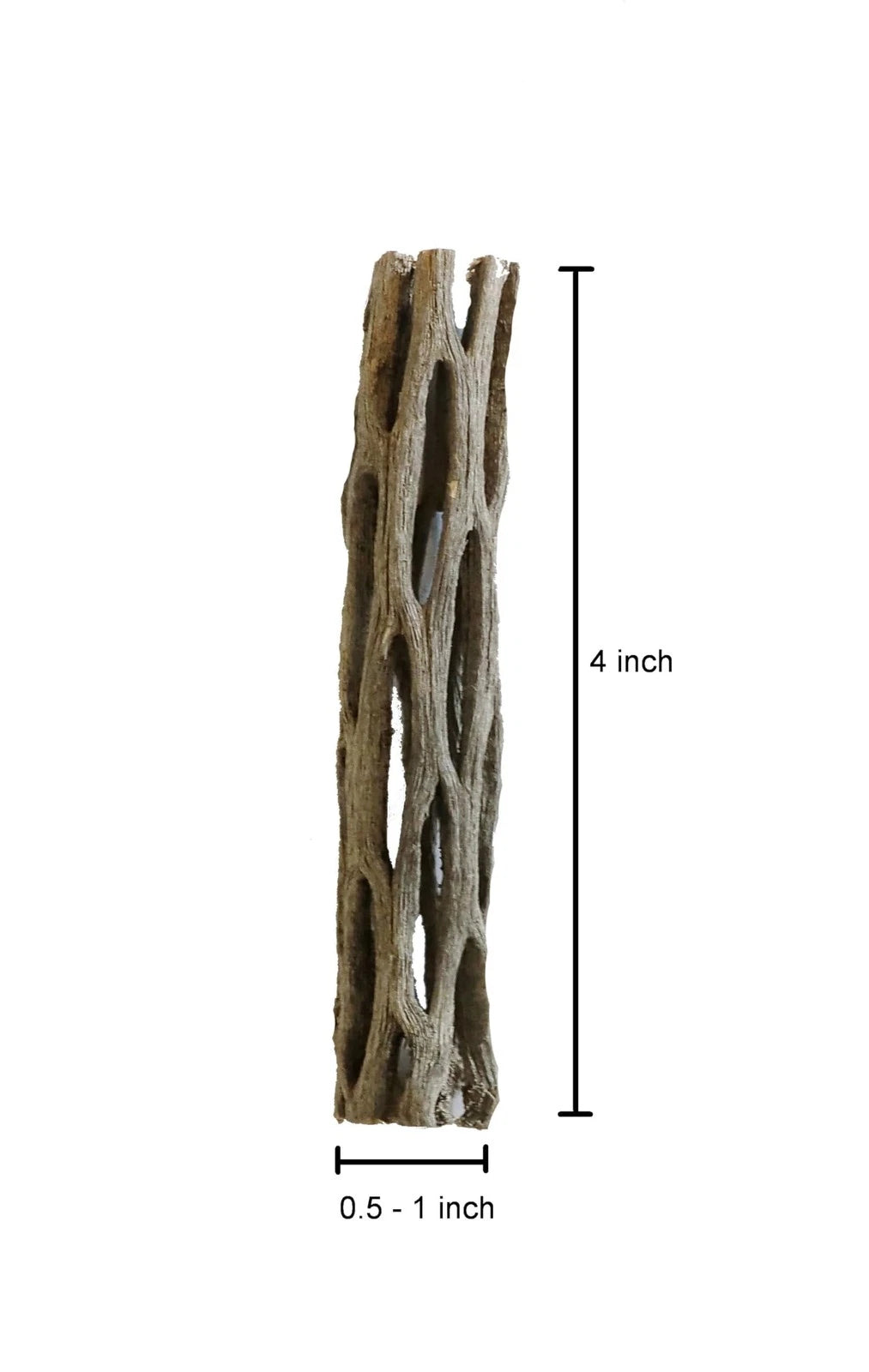 Natural Cholla Wood for Aquarium Decoration Shrimp and 4 Inch (3 Pack), Stone