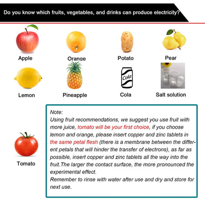 EUDAX Fruit Battery Science Experiment Kit with Electronic Clock and Small