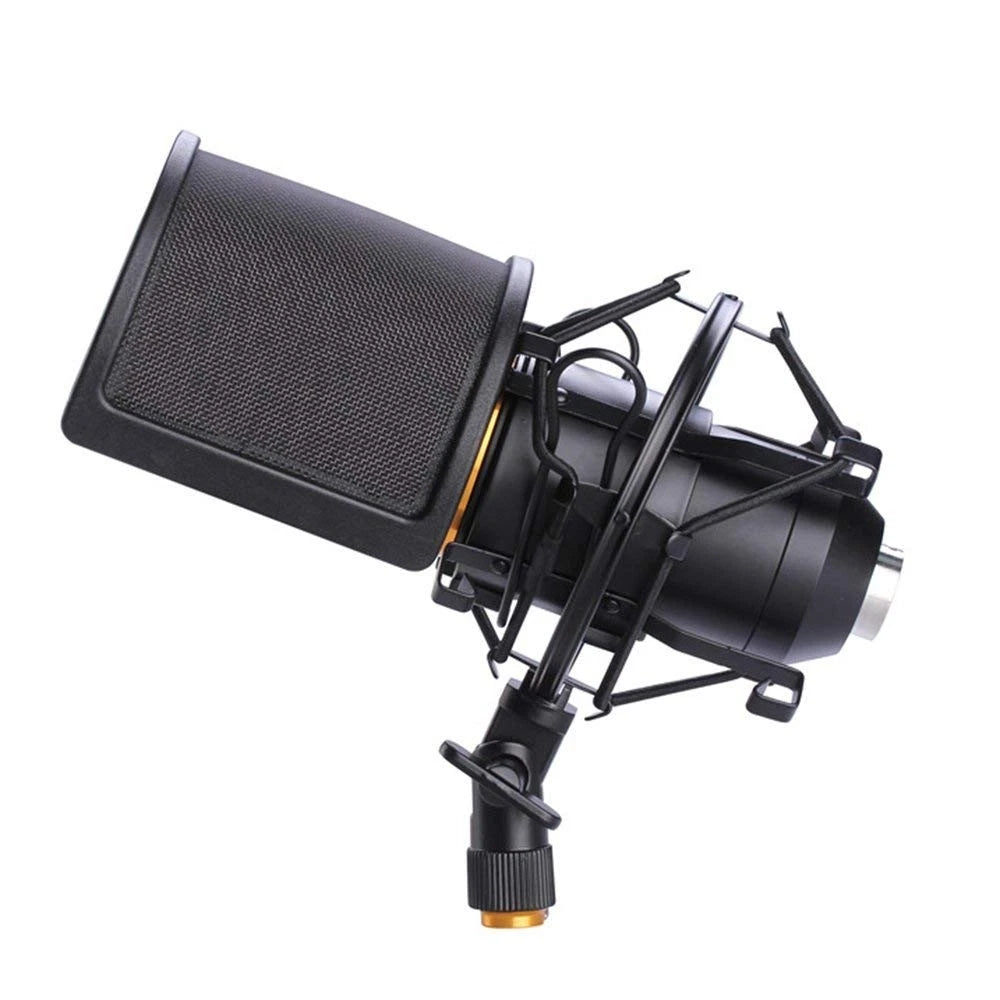 Microphone Shock Mount with Pop Filter, Mic Anti-Vibration 46mm-51mm, Black