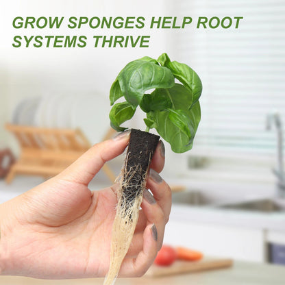 Kratky Method Hydroponic Planter Kit, 8 Plus 24 Black