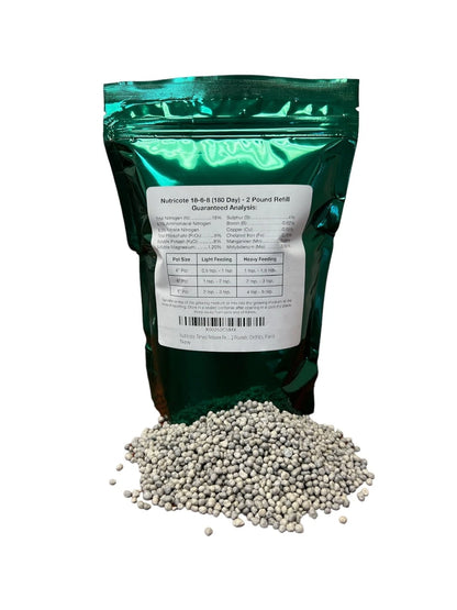 Hoiyen Nutricote 18-6-8 180 Day Fertilizer, 2 Pounds, Orchids, Plants