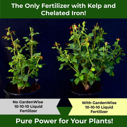 GARDENWISE 10-10-10 All Purpose Plant Food - 8 OZ, Liquid Fertilizer