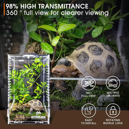 Acrylic Jumping Spider Habitat, Insect Terrarium, Bug Small, Transparent