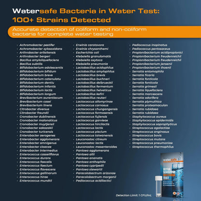 Watersafe® Bacteria Water Test Kit – USA-Made – Results as Fast 6 Hours –...