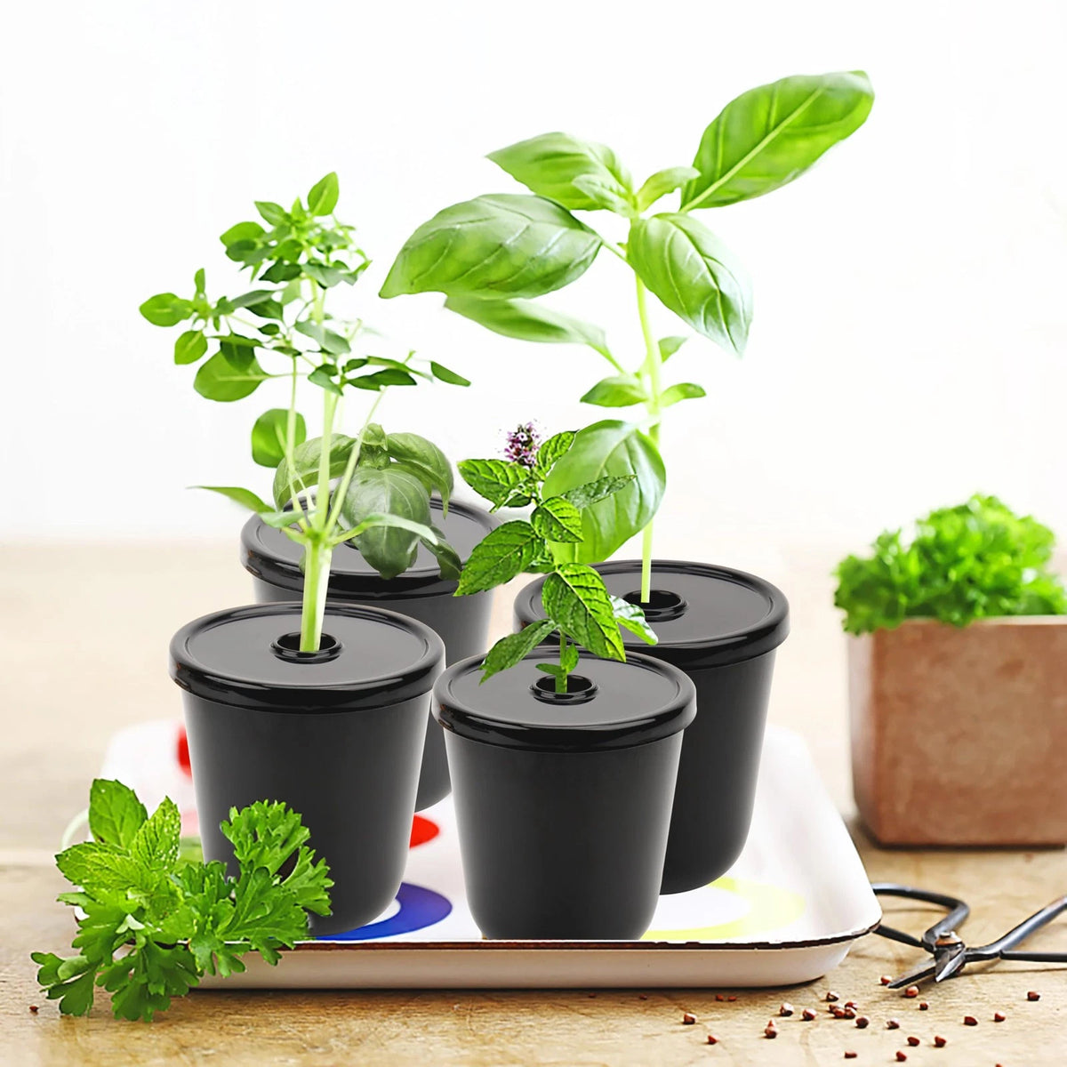 Kratky Method Hydroponic Planter Kit, 8 Plus 24 Black