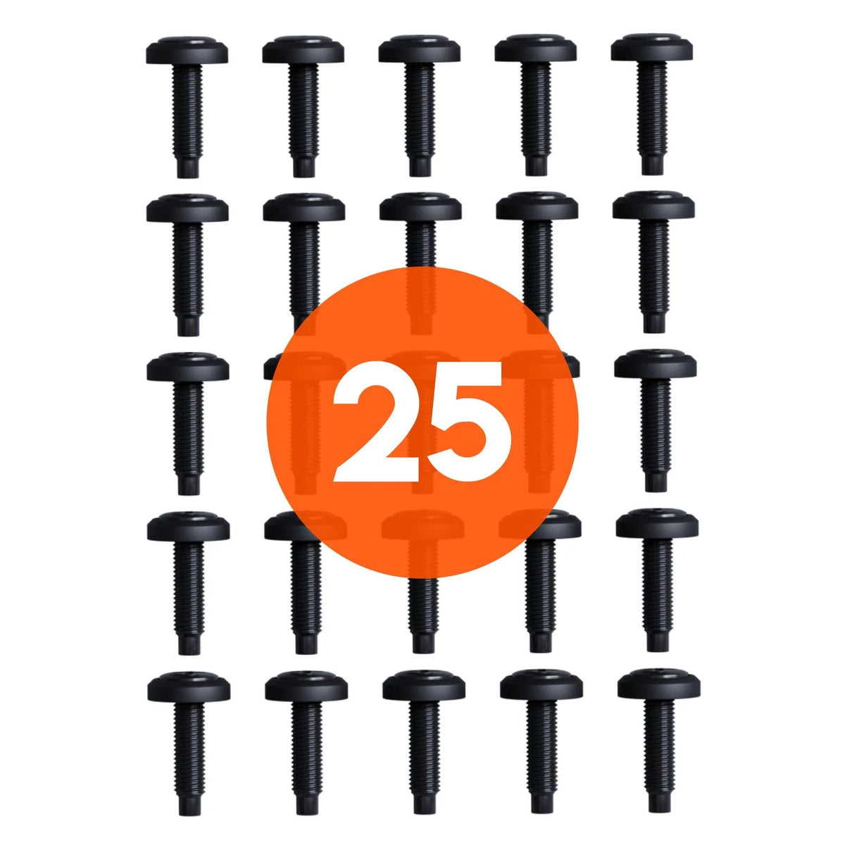 ECHOGEAR Server Rack Screws 25 Pack - 10/32 Steel with 25 Pack, Black