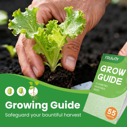 55 Vegetable Seeds Variety Pack - 39,000+ 55 PCS Seeds, Green