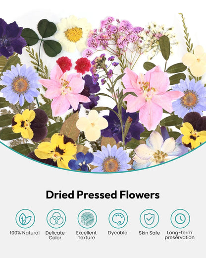 Dried Flowers, Resiners 100Pcs Pressed Flowers for Craft Purple Violet 100pcs