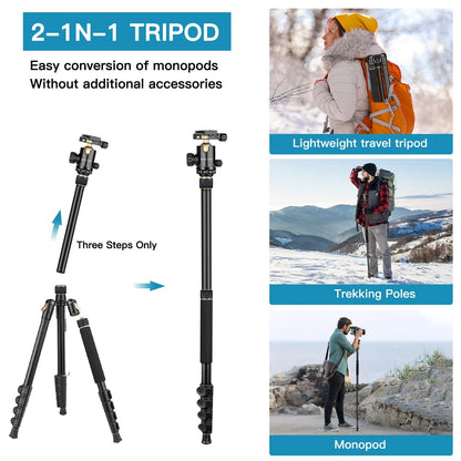Professional DSLR Tripod for Photography - Tall, Lightweight & 76inch, Gold