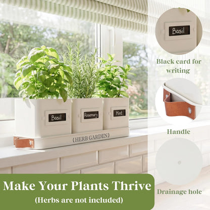 PERFNIQUE Indoor Herb Garden, 5.1 inches x 14.1 x 5.5 inches, White