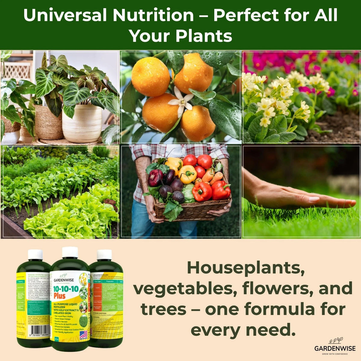 GARDENWISE 10-10-10 All Purpose Plant Food - 8 OZ, Liquid Fertilizer