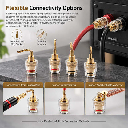 4X Banana Female to 2mm Pin Gold Plated Connector HIFI Cable Adapter Plug 4mm