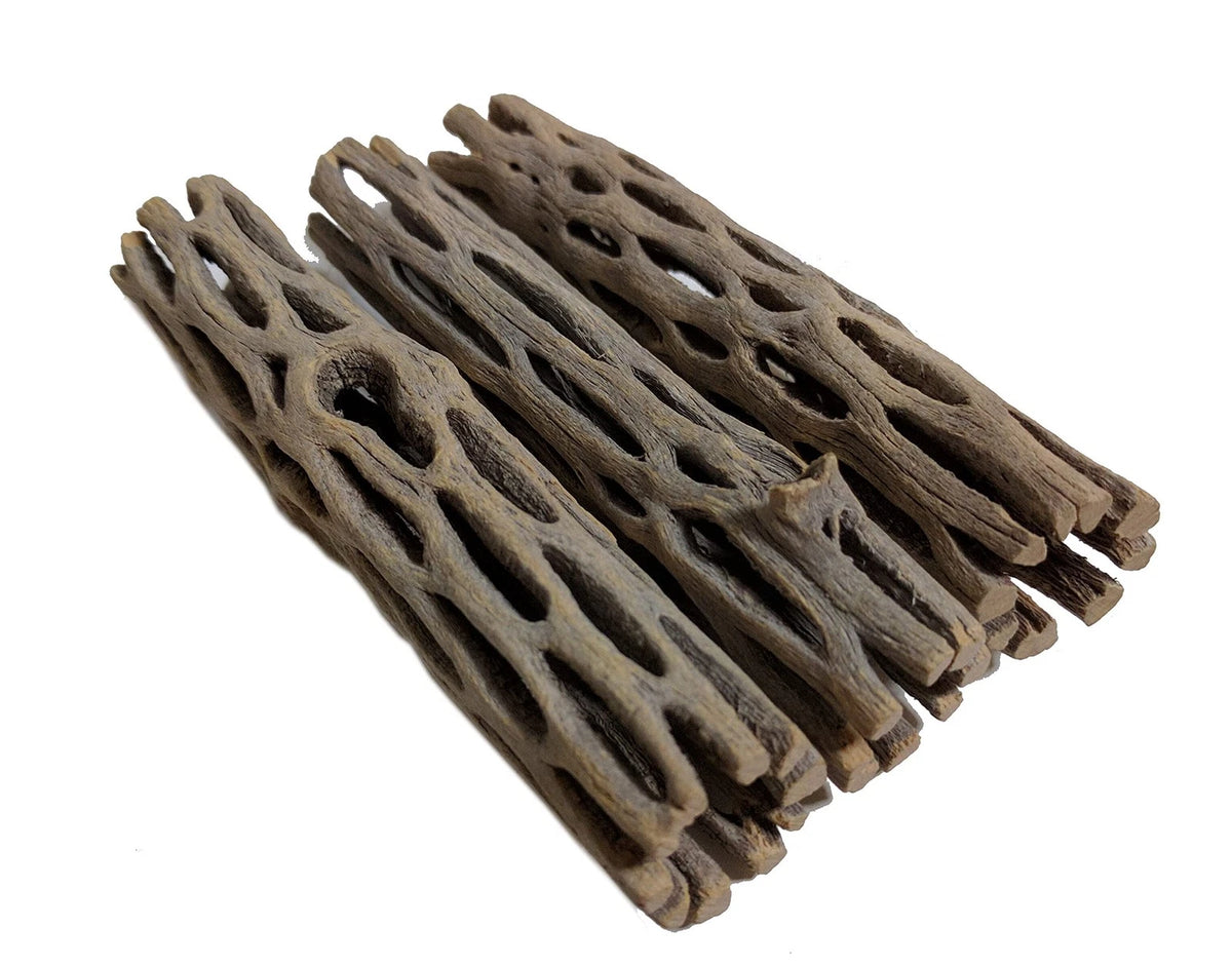 Natural Cholla Wood for Aquarium Decoration Shrimp and 4 Inch (3 Pack), Stone