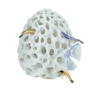 Swirge Shrimp Dome Hide, Hides for Aquarium, Betta Fish Hideout White
