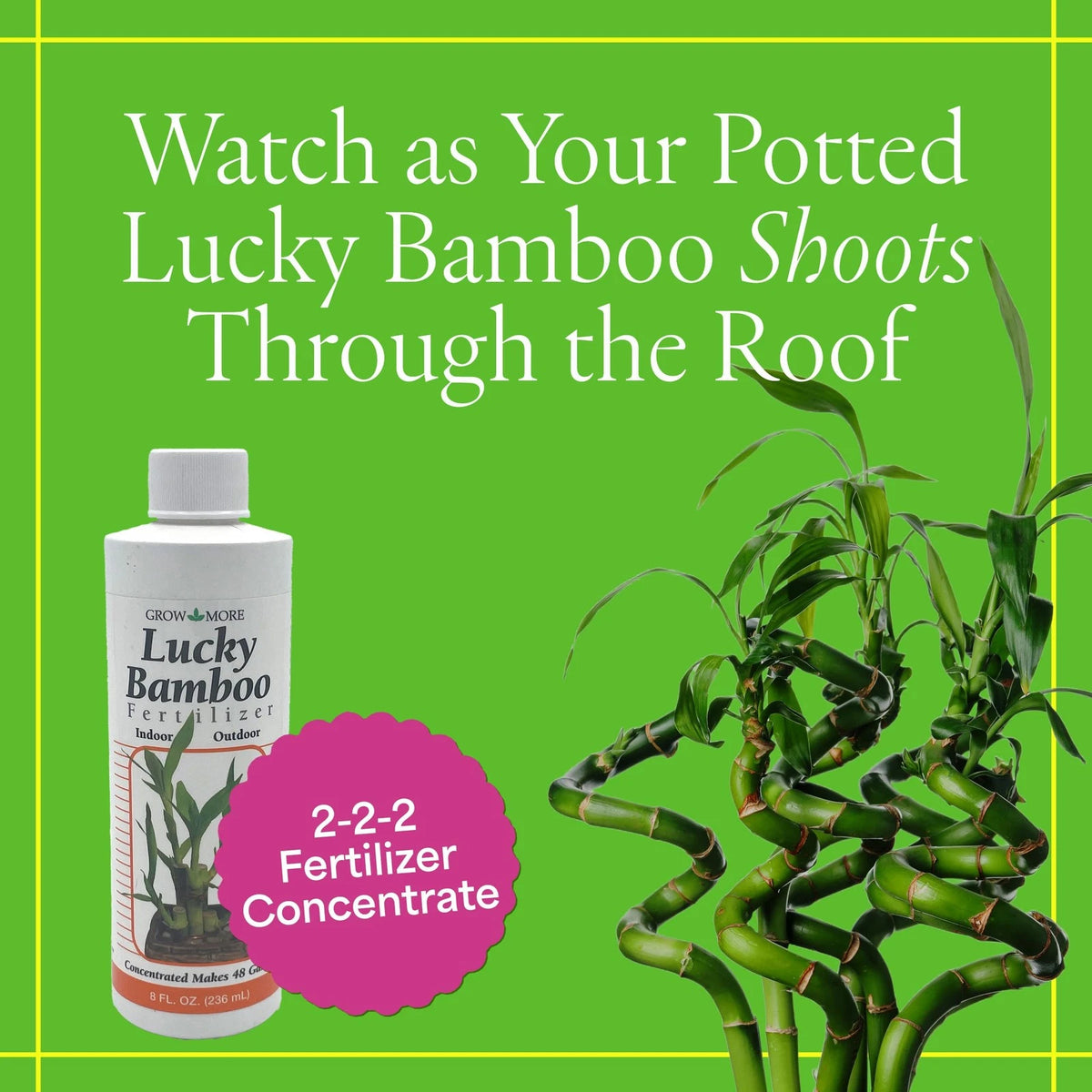 Grow More Lucky Bamboo Fertilizer (2-2-2) - 8oz of USA-Made 8 Fl Oz, Natural