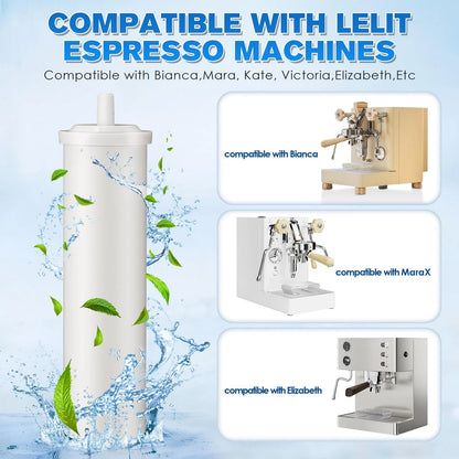 Naucoos 70L Cationic Resin Filter Compatible 6.69 x 1.97 x inches, White
