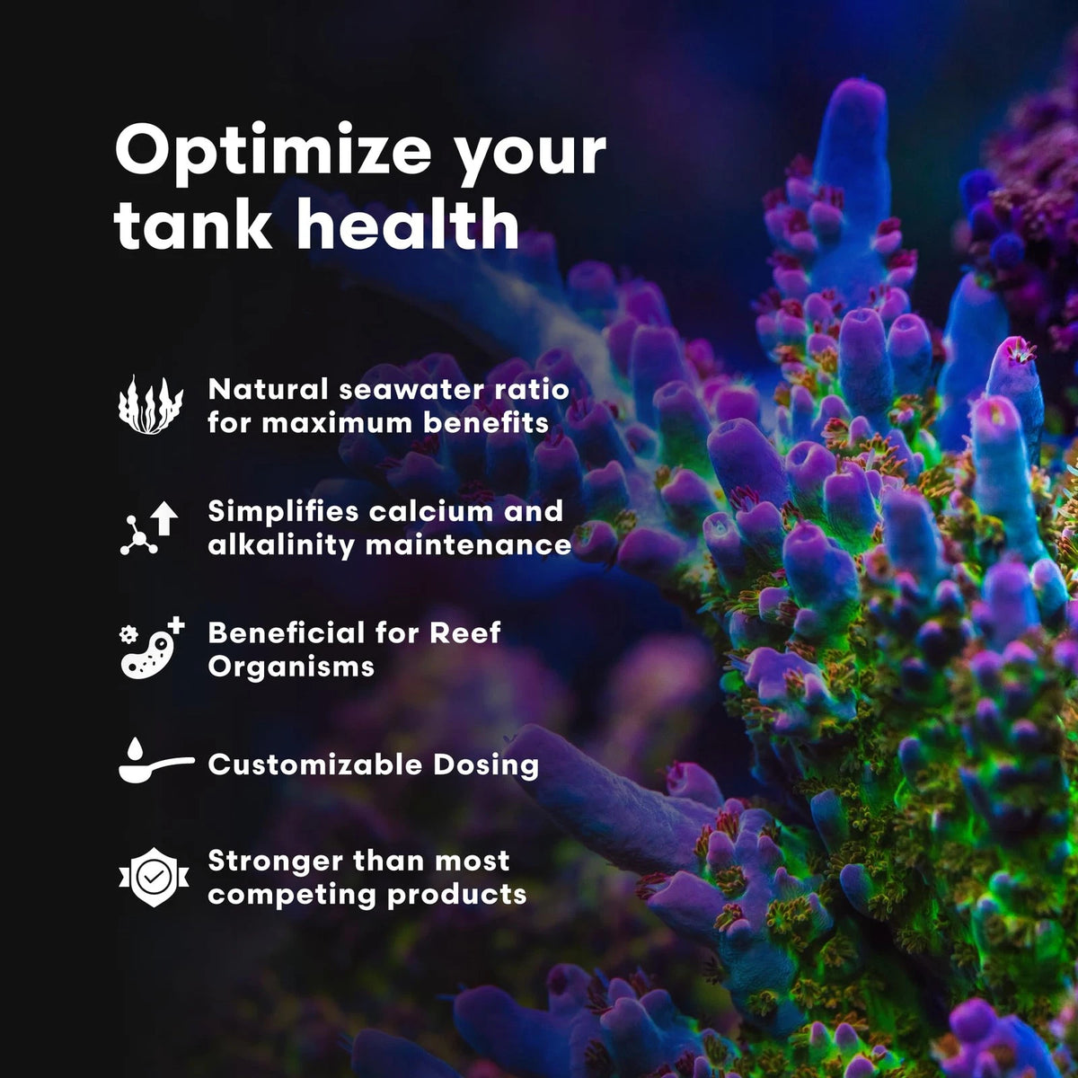Brightwell Aquatics - Reef Code A - Balanced Calcium & Alkalinity System 1-L