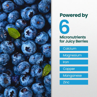 16oz Blueberry Fertilizer - Makes 16 Gallons of Fruit Tree 16 oz (1 Pint)