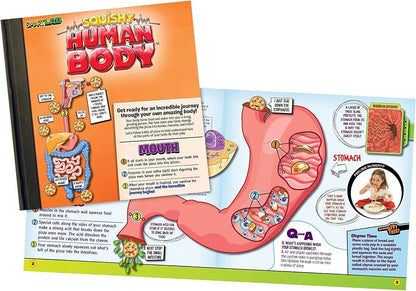 SMARTLAB Toys Squishy Human Body with 21 Removable Standard, Multicolor