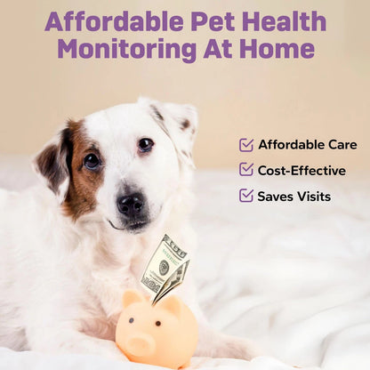 One Step Pet Urine Testing Strips, 5 x Urinalysis 10 5 Count (Pack of 1)