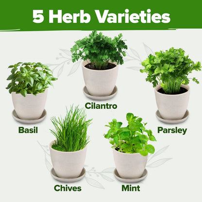 HOME GROWN Indoor Herb Garden Starter Kit – Complete 5 5-Pack, 5
