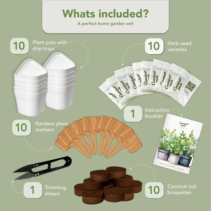 Garden Pack 10 Herb Indoor Window - Includes Pots, Trays, Green