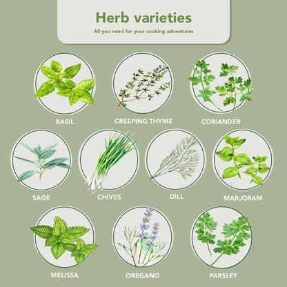 Garden Pack 10 Herb Indoor Window - Includes Pots, Trays, Green