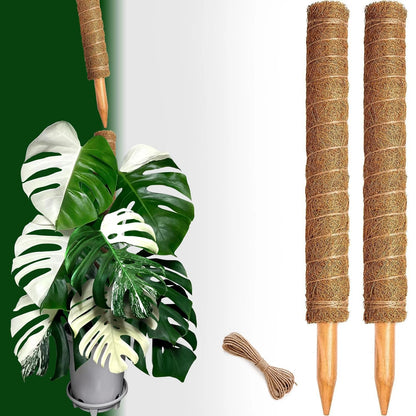 2 Pack 21 Inch Moss Poles, Stackable Pole for Plants 2 pack 21in, Brown