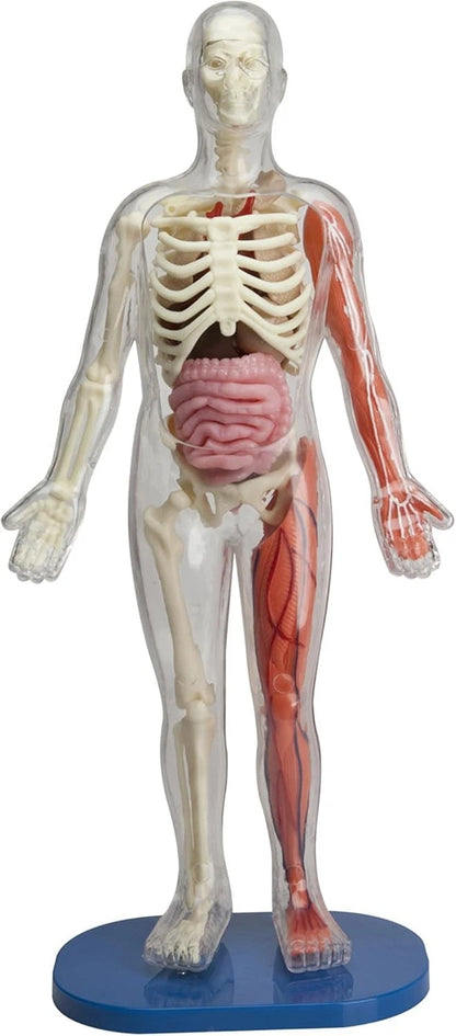 SMARTLAB Toys Squishy Human Body with 21 Removable Standard, Multicolor