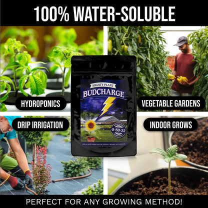 Bloom Booster Flowering Enhancer & Heavy Harvests – High-Density PK Formula...