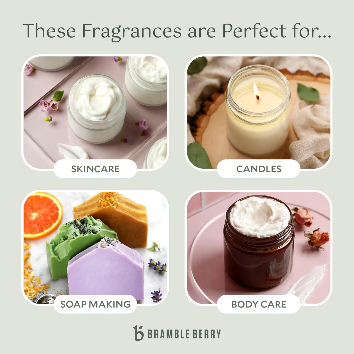 Brambleberry Cashmere Fragrance Oil | Vanilla 2 Fl Oz (Pack of 1),