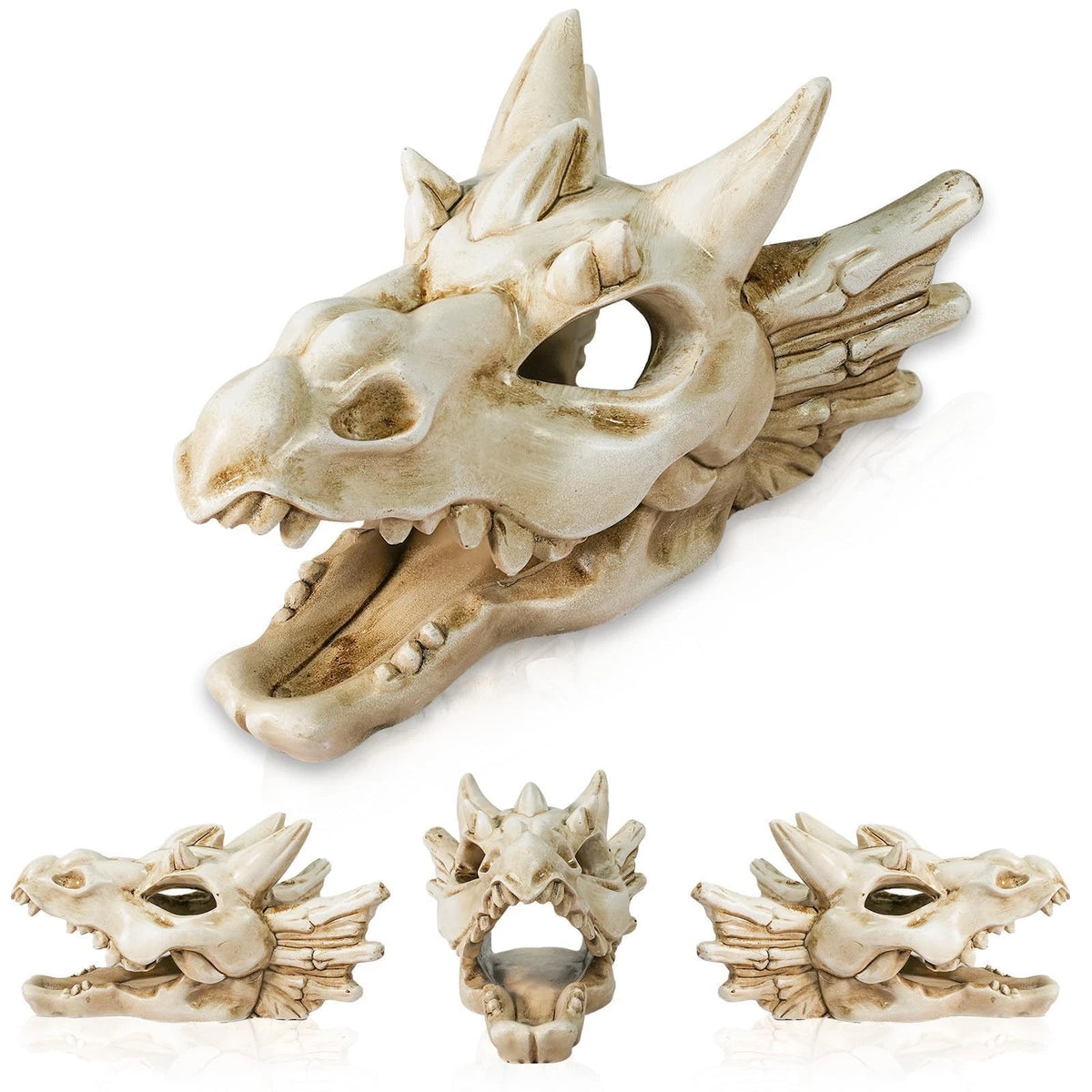 Warmtree Dragon Skull Animal Skulls Mini Dinosaur Aquarium White