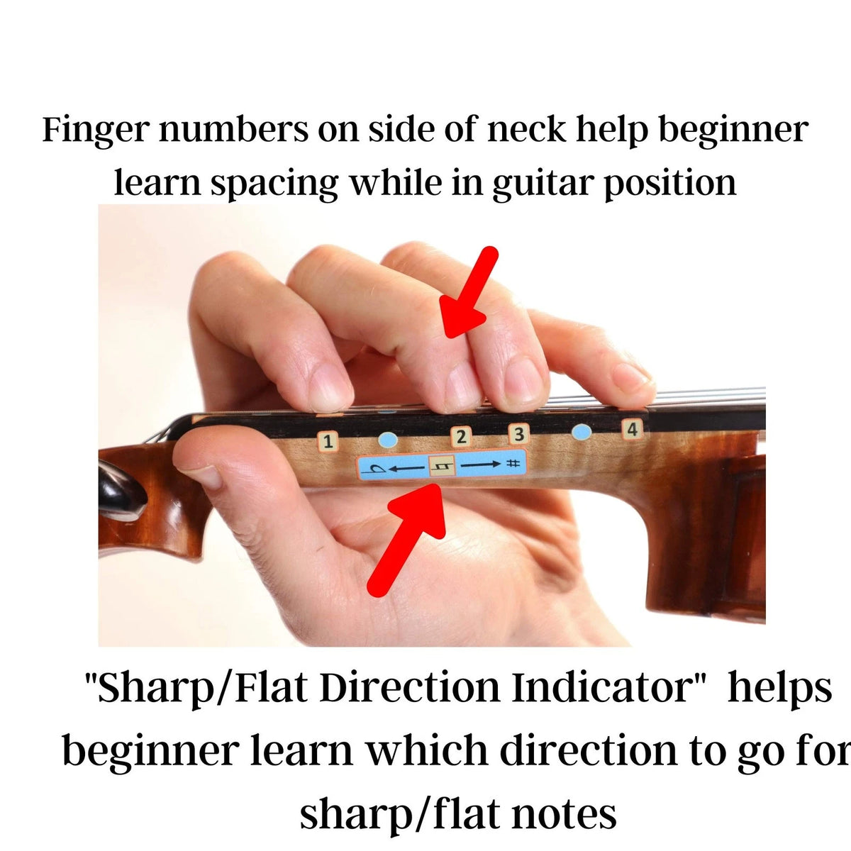 Fantastic Finger Guide for Violins Kids/Adult Beginner | 1/2, multi-color