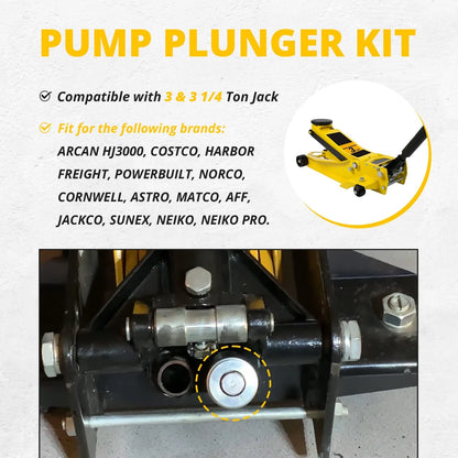 Replacement Pump Piston Low Side Plunger Kit- Smaller One - Fit for...
