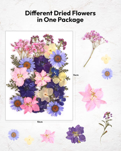 Dried Flowers, Resiners 100Pcs Pressed Flowers for Craft Purple Violet 100pcs