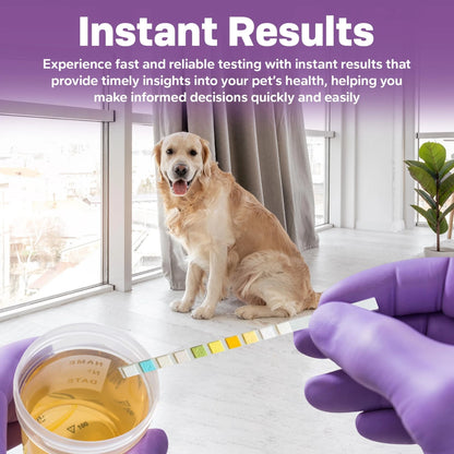 One Step Pet Urine Testing Strips, 5 x Urinalysis 10 5 Count (Pack of 1)