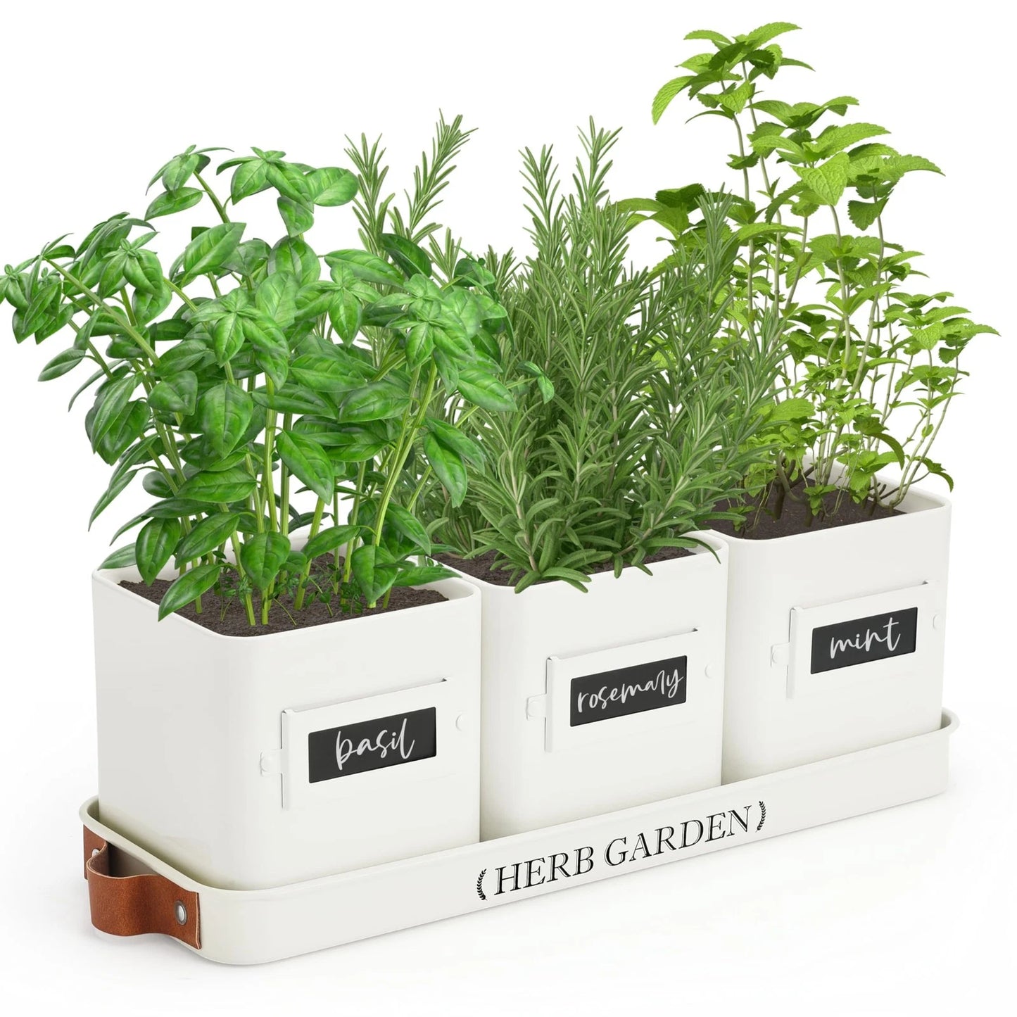 PERFNIQUE Indoor Herb Garden, 5.1 inches x 14.1 x 5.5 inches, White