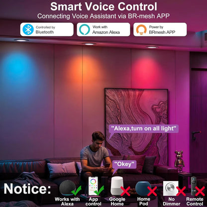 Smart Recessed Lighting, 5/6 inch, Compatible with Alexa, RGB+CCT 4Pack