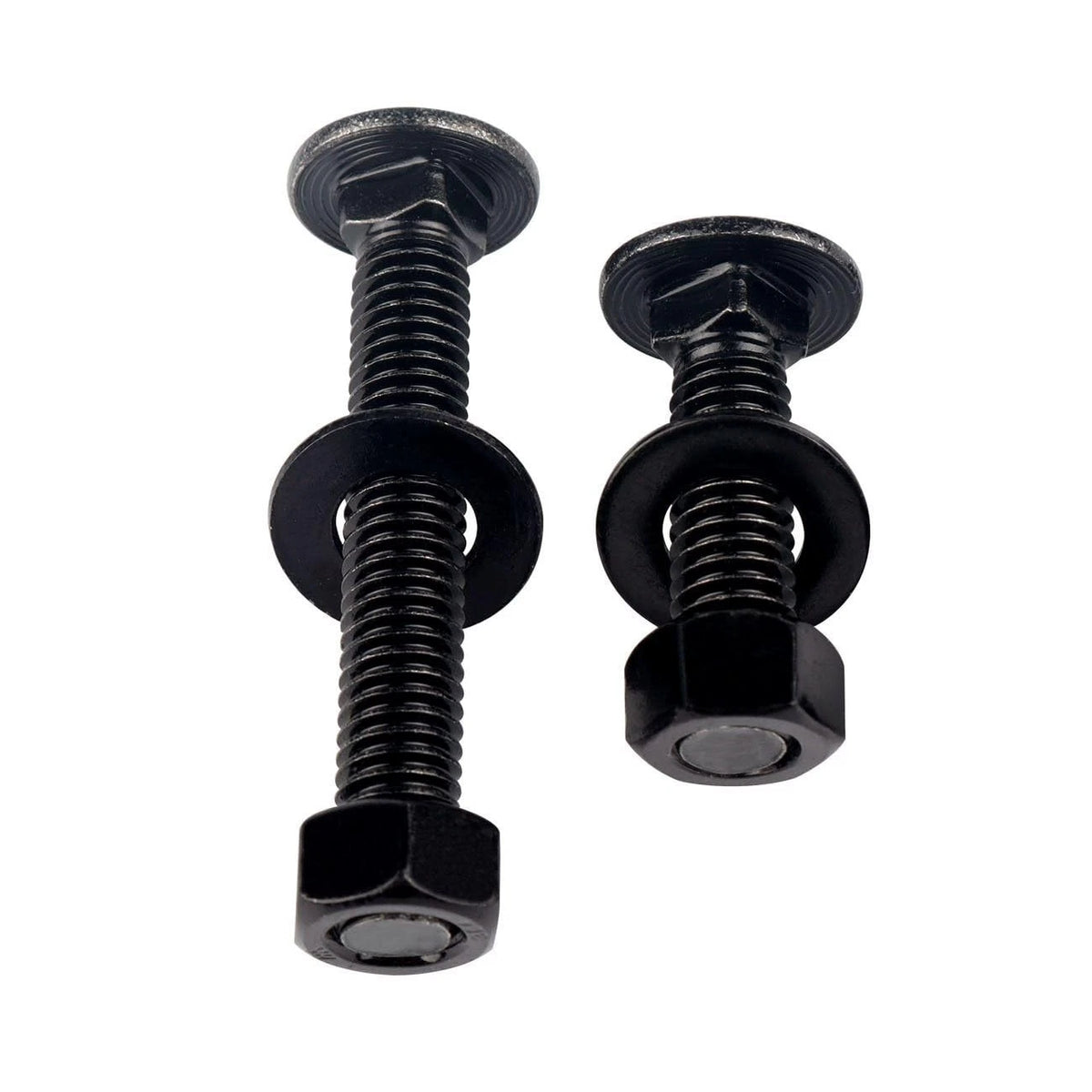1/4-20 x 1 Stainless Steel Carriage Bolts and x 1" (10 Sets), Black