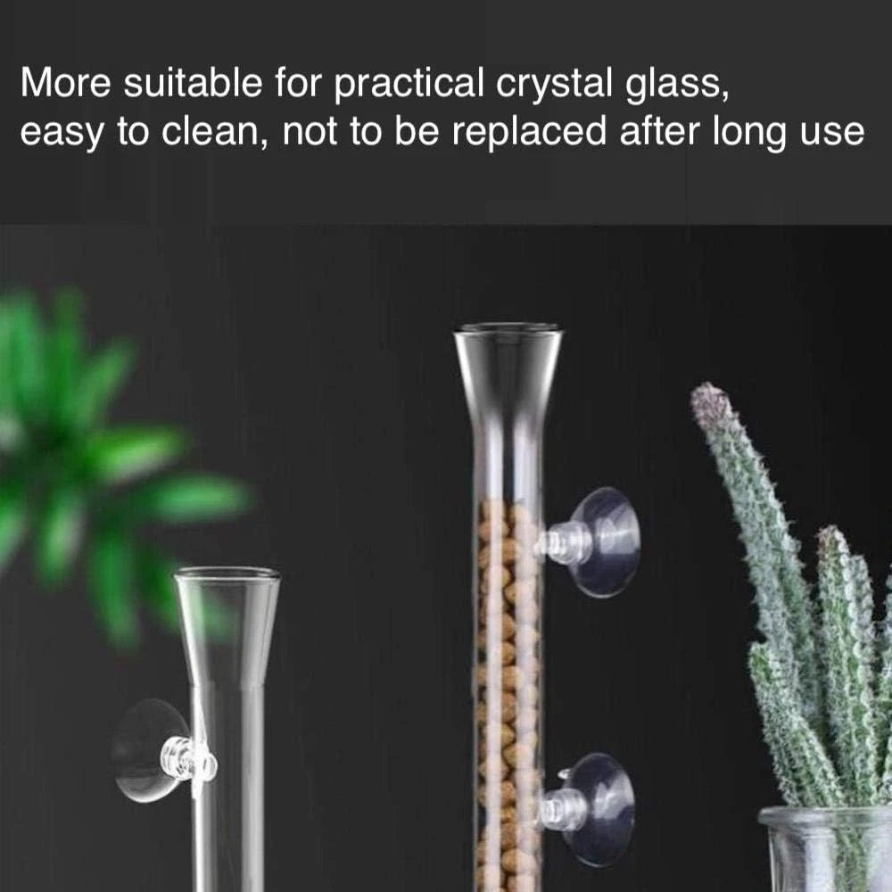 Shrimp Feeding Tube and Dish,Clear Crystal Glass 12“, clear